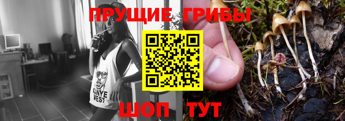 Шали  Галлюциногенные грибы MAGIC MUSHROOMS  как найти закладки  Вход с VPN  Галлюциногенные грибы MAGIC MUSHROOMS 